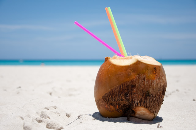 Verão X Alimentação Verão X Alimentação